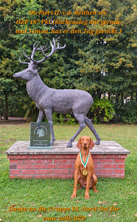 Da Pieri II. v.d. Reithen slx sitzt als HZP Suchensieger vor einem Hirsch Denkmal auf Guts Grambo